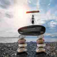 ai写﻿作​助​手‌怎﻿么‍设﻿置‌字​体﻿颜‌色﻿